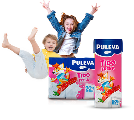 Puleva Tido Fresa 200ml