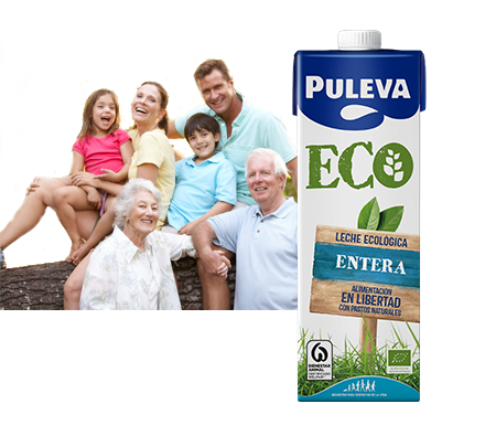 LECHE PULEVA ENTERA