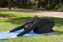 Ejercicio 10: Streching