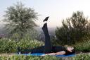 Ejercicio 2: One leg circle 1
