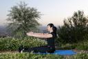 Ejercicio 6: Spine stretch fordward