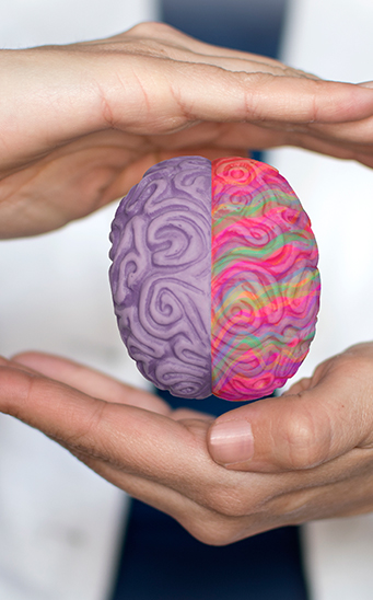 las funciones de los hemisferios del cerebro las funciones de los hemisferios del cerebro