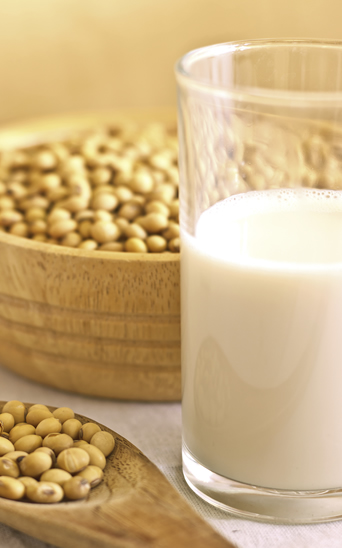 El mejor aliado de los huesos, la leche y las isoflavonas de soja El mejor aliado de los huesos, la leche y las isoflavonas de soja