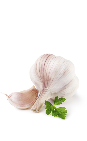Propiedades curativas y culinarias del ajo Propiedades curativas y culinarias del ajo