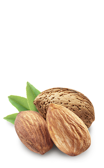 Las almendras en nutrición y cosmética Las almendras en nutrición y cosmética