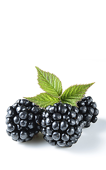 los beneficios de consumir moras