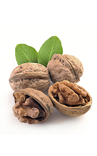 nueces y aporte de nutrientes