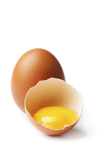 ovoproductos derivados del huevo