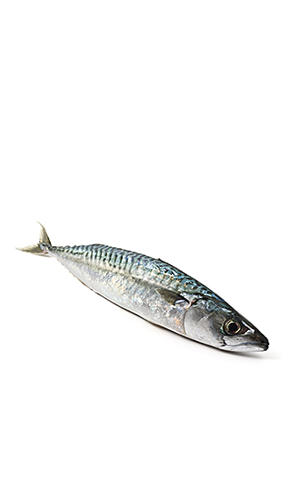 Pescado azul y omega 3