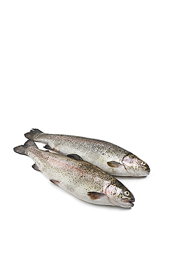 Valor nutricional del pescado blanco
