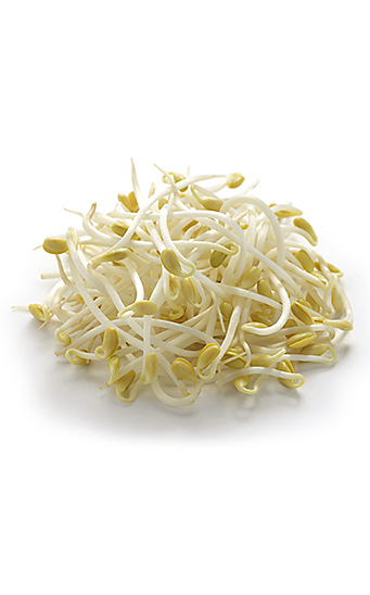 Soja beneficios y valor nutritivo Soja beneficios y valor nutritivo