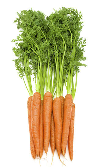 propiedades y beneficios de las zanahorias