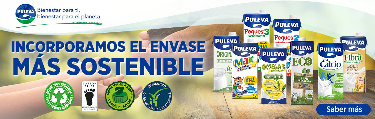 Sostenibilidad Brik