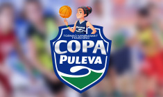 Copa Puleva