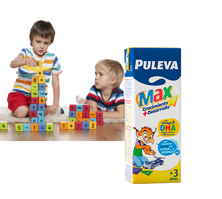 Puleva Max 200ml