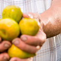 Beneficios de la pera para la salud