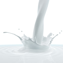 Las proteínas de la leche