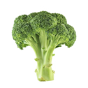 Brocoli
