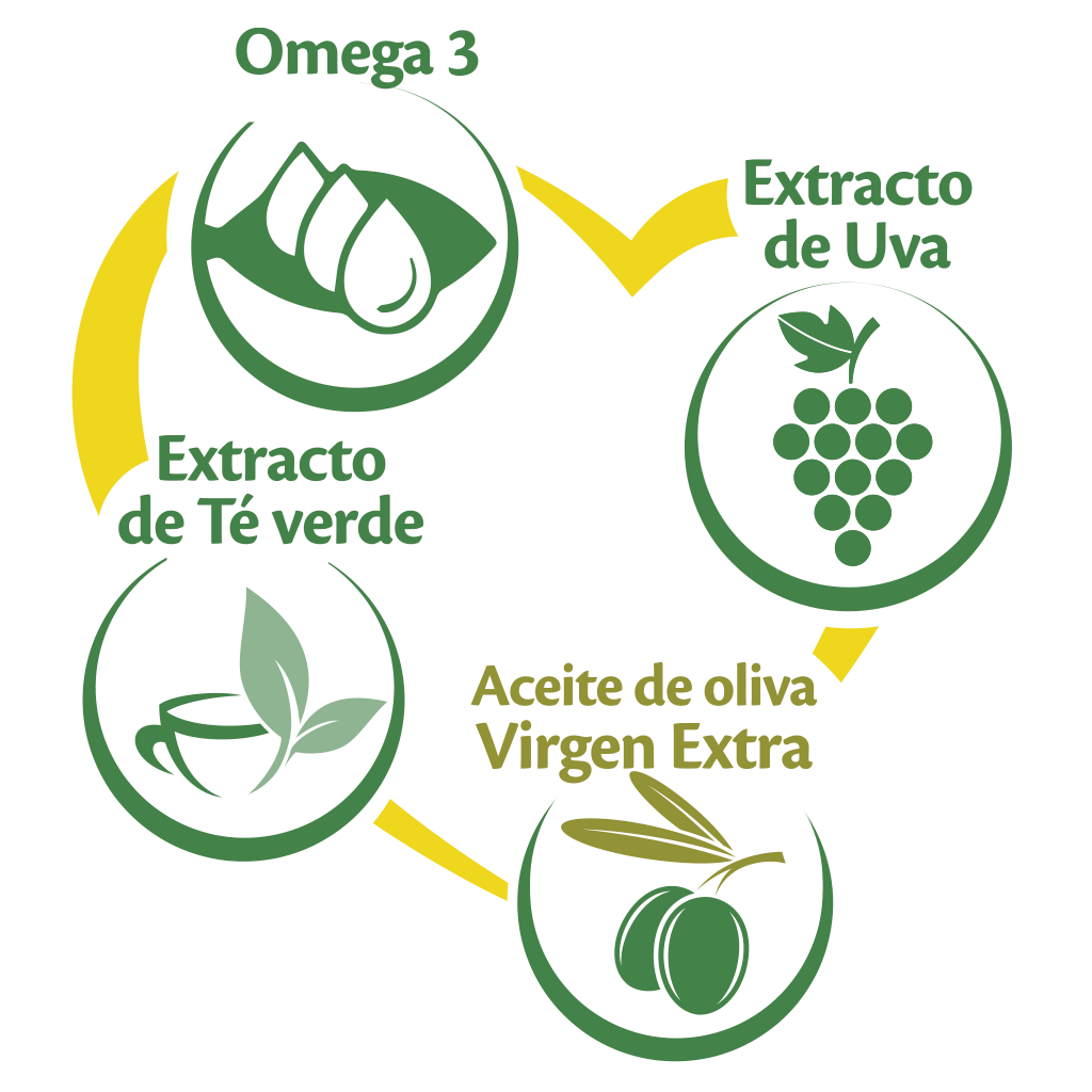 Infografía ingredientes Omega 3 té verde uva aceite de oliva virgen extra