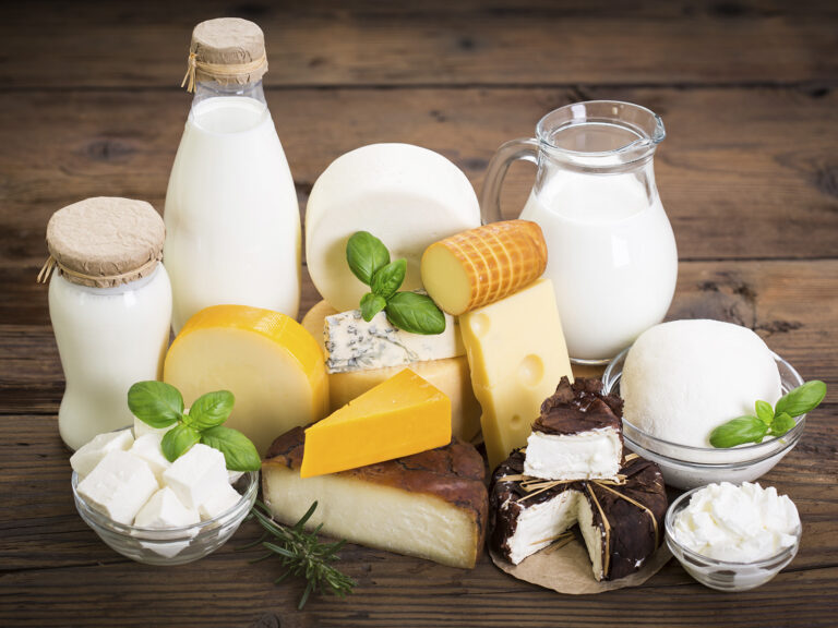 Lácteos leche queso yogur derivados lácteos calcio