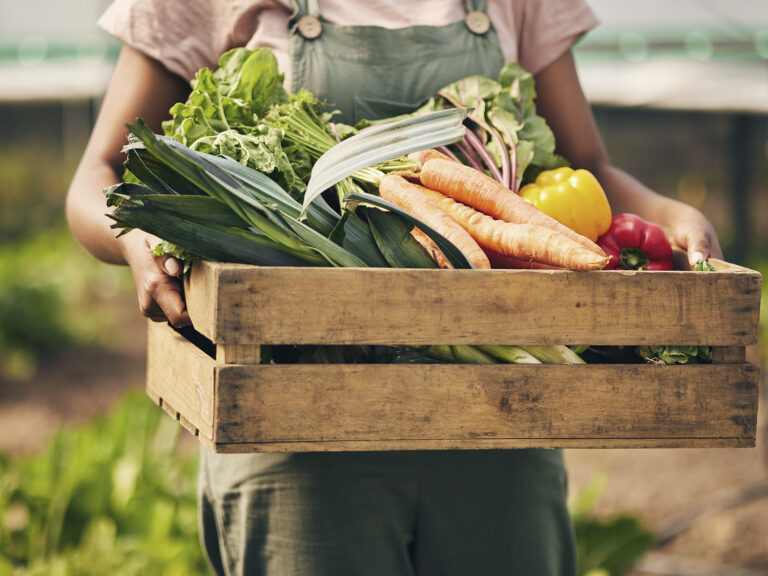 Verduras ecológicas frescas en caja de madera