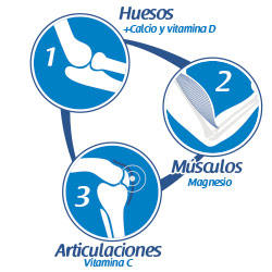 Infografía beneficios PULEVA Vita Calcio Entera huesos músculos articulaciones calcio magnesio vitamina C