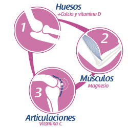 Infografía beneficios PULEVA Vita Calcio Sin Lactosa huesos músculos articulaciones calcio magnesio vitaminas